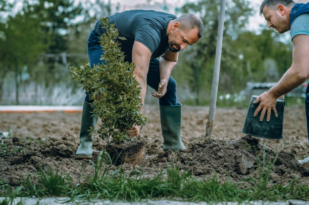 Best Tree Mulching  in Cedartown, GA
